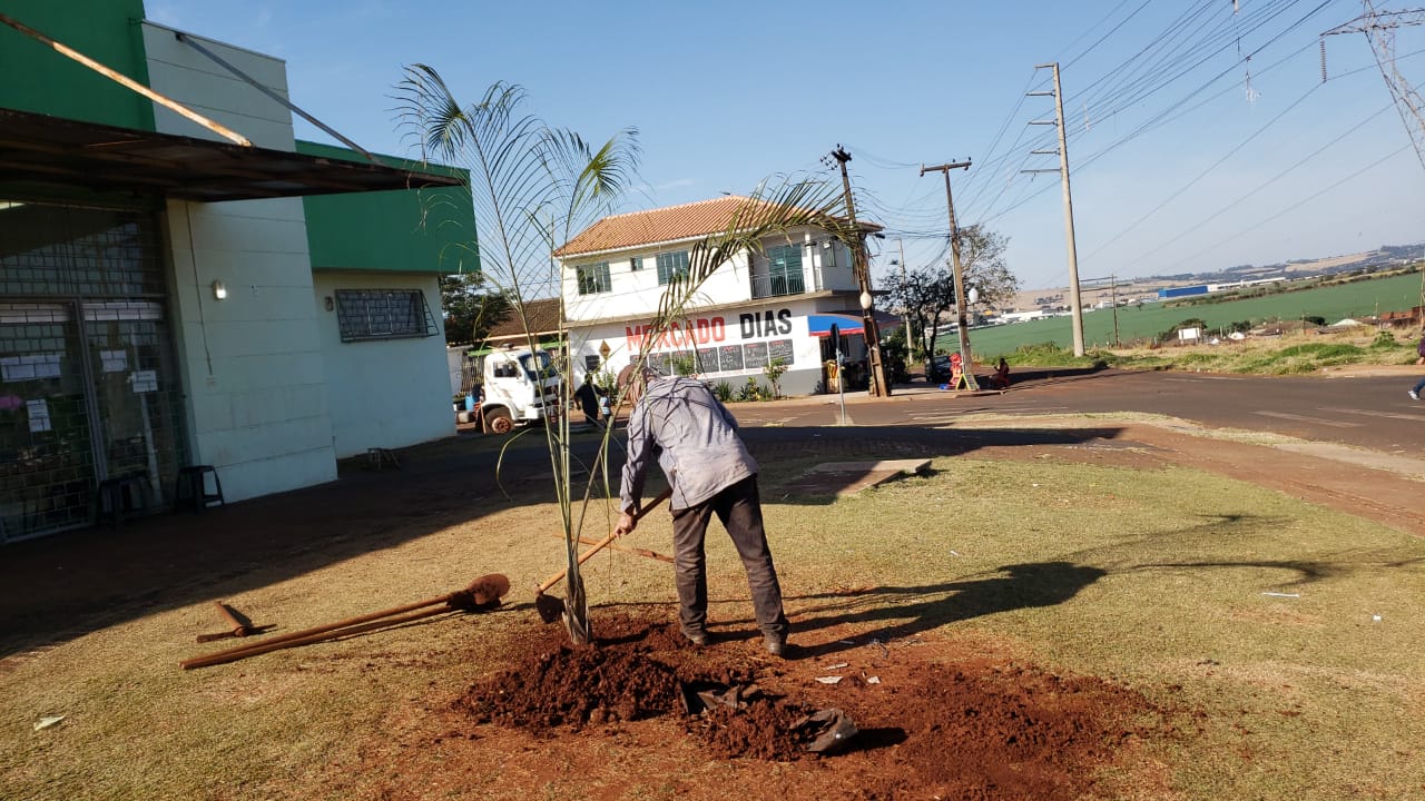 Plantação de mudas de árvores na UBS Nova Aliança