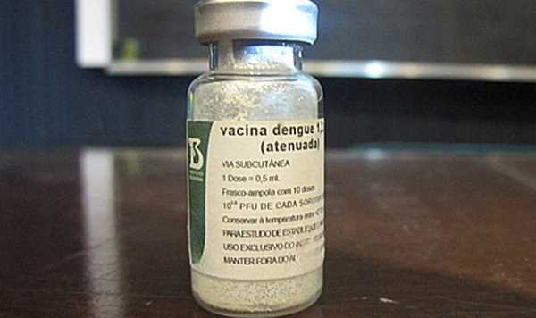 Vacina Contra Dengue começa dia 13 de Agosto