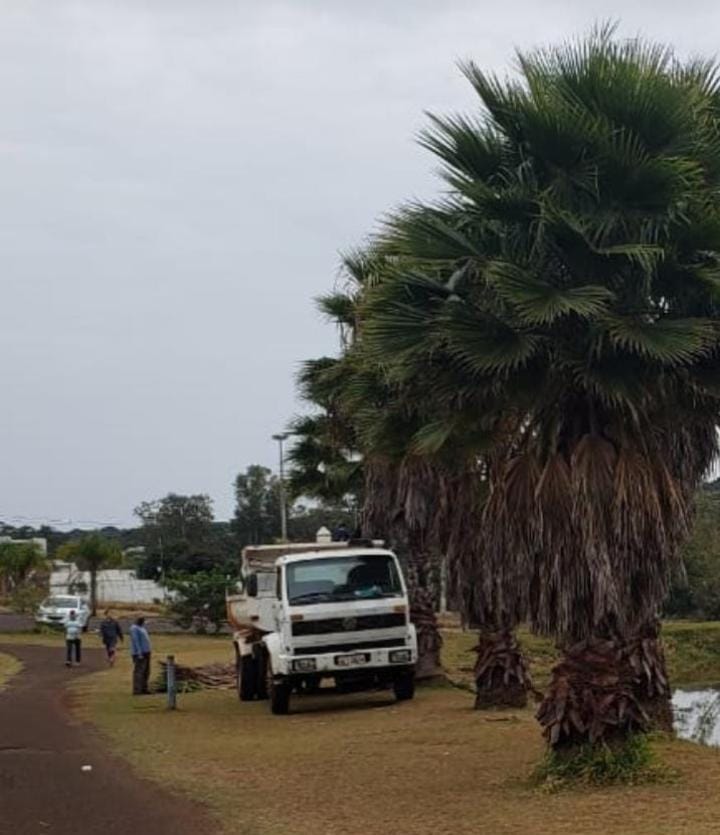 Secretaria de Saneamento e Meio Ambiente realiza poda e limpeza de árvores no Parque Ecológico