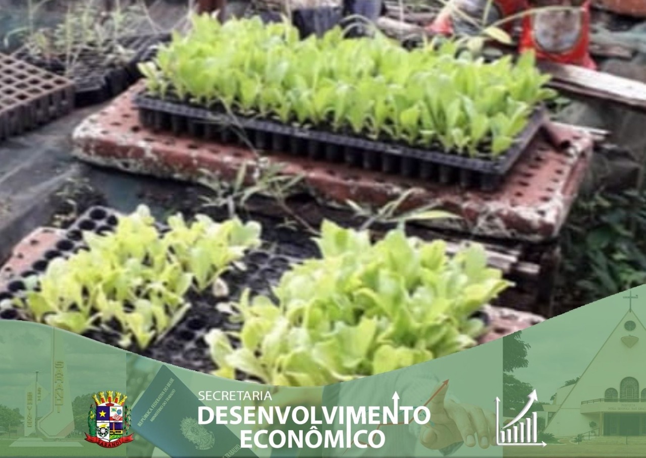 Hortas comunitárias do Município de Sarandi