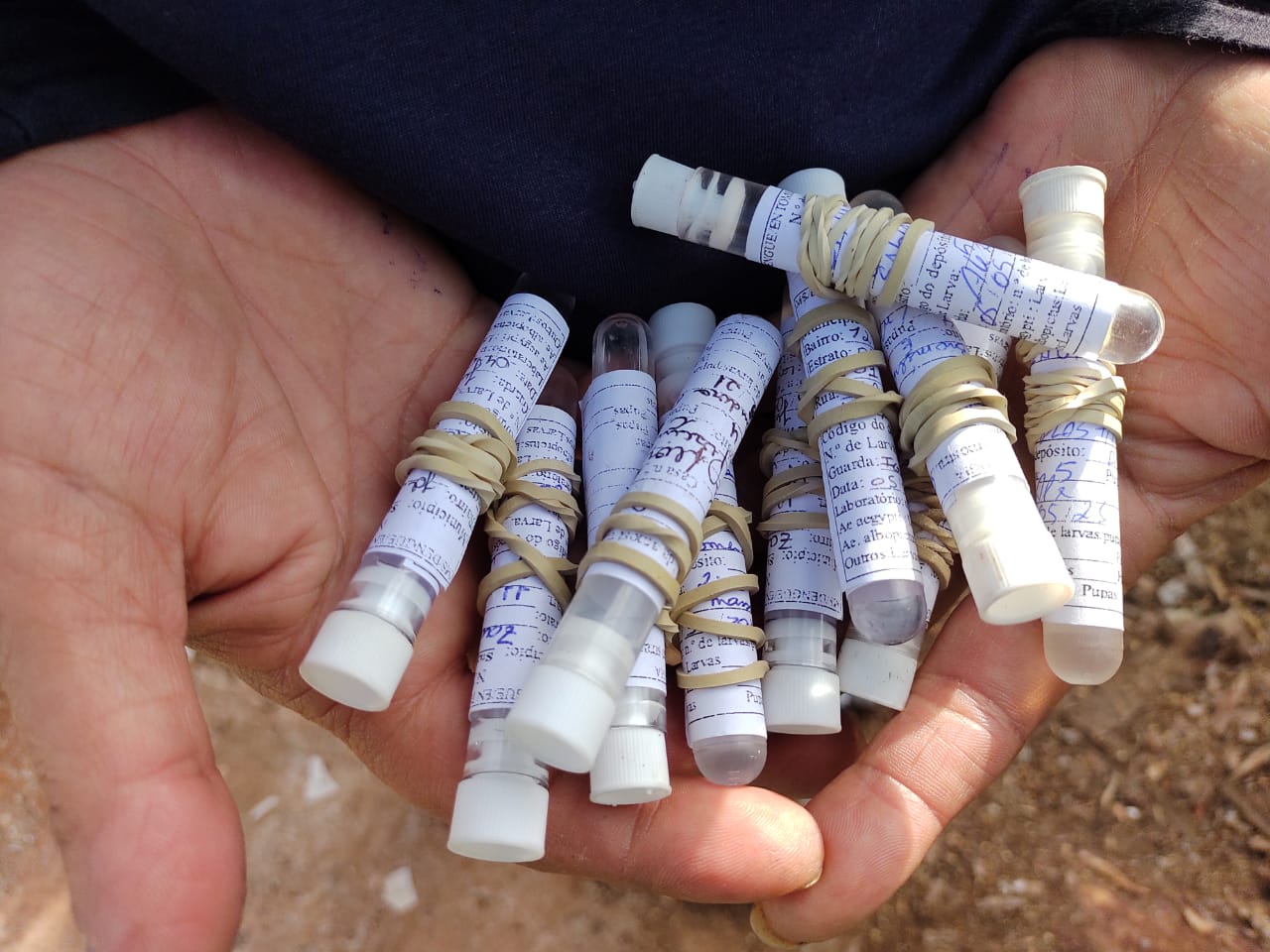 Secretaria Municipal de Saúde realizou o 2º LIRAa de 2021