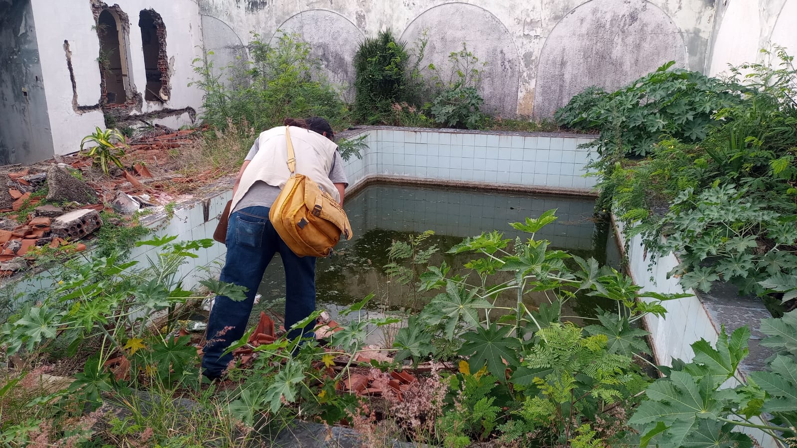 Prefeitura divulga primeiro levantamento do índice de infestação da dengue de 2025