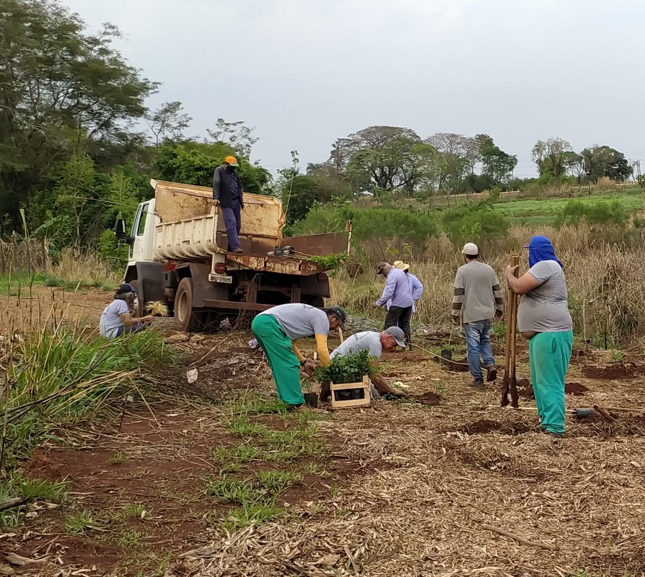 Secretaria de Saneamento e Meio Ambiente realizou o plantio de 130 mudas às margens de rio