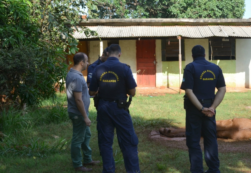 MEIO AMBIENTE MULTA DONO DE ANIMAL POR MAUS TRATOS   