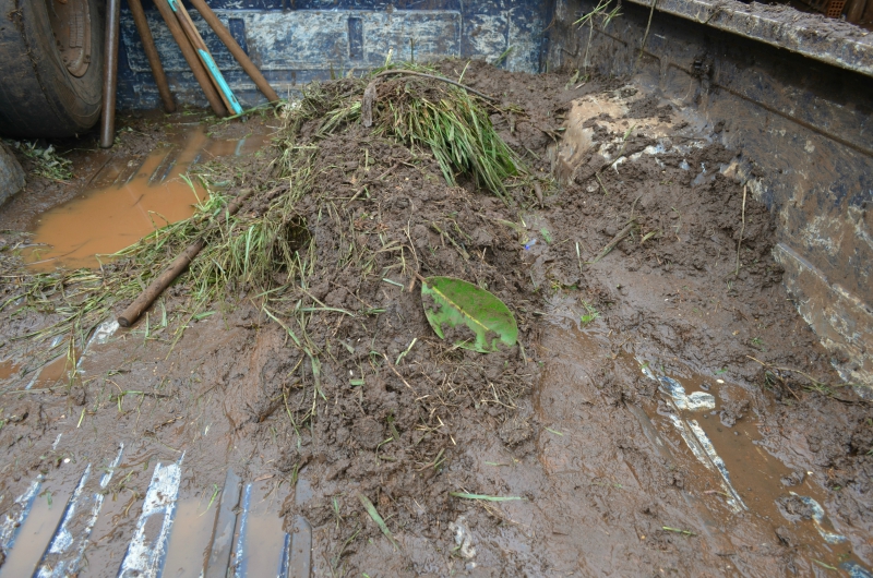 Descarte incorreto do lixo gera multa para empresa