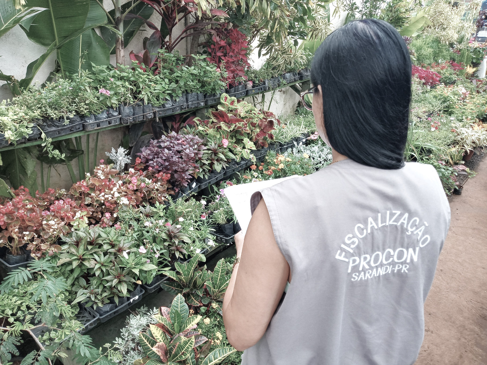 Procon Sarandi pesquisa produtos para Dia de Finados e constata diferença de preço de até 122%