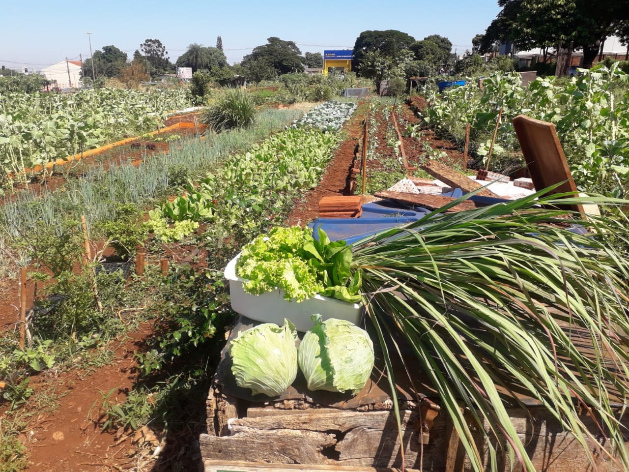 Programa de Doação para o PAIM