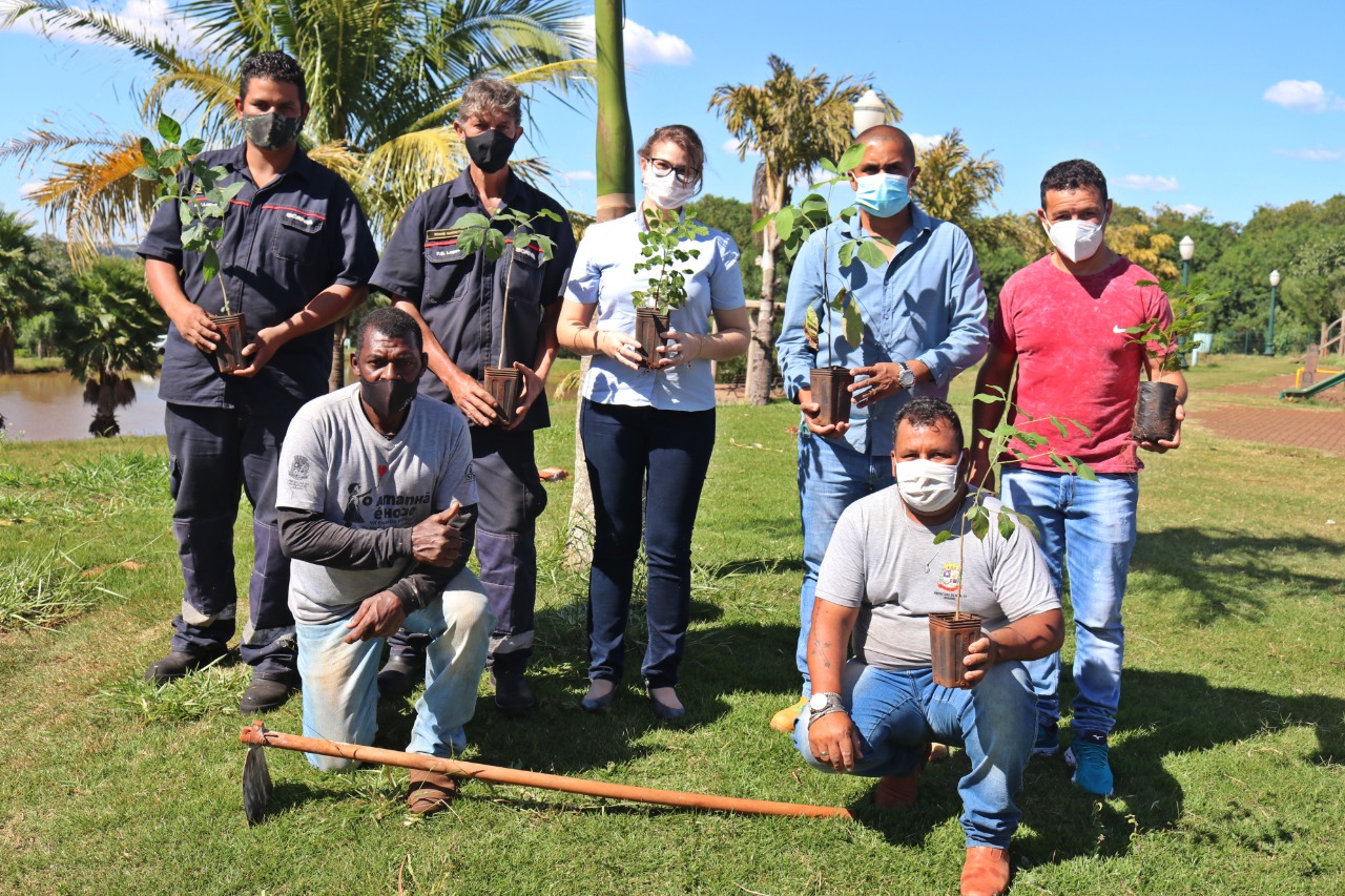Meio ambiente de Sarandi recebe doação de mudas de ipês