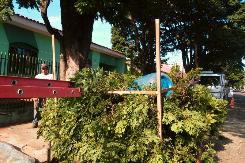 Corte sem autorização resulta em multa