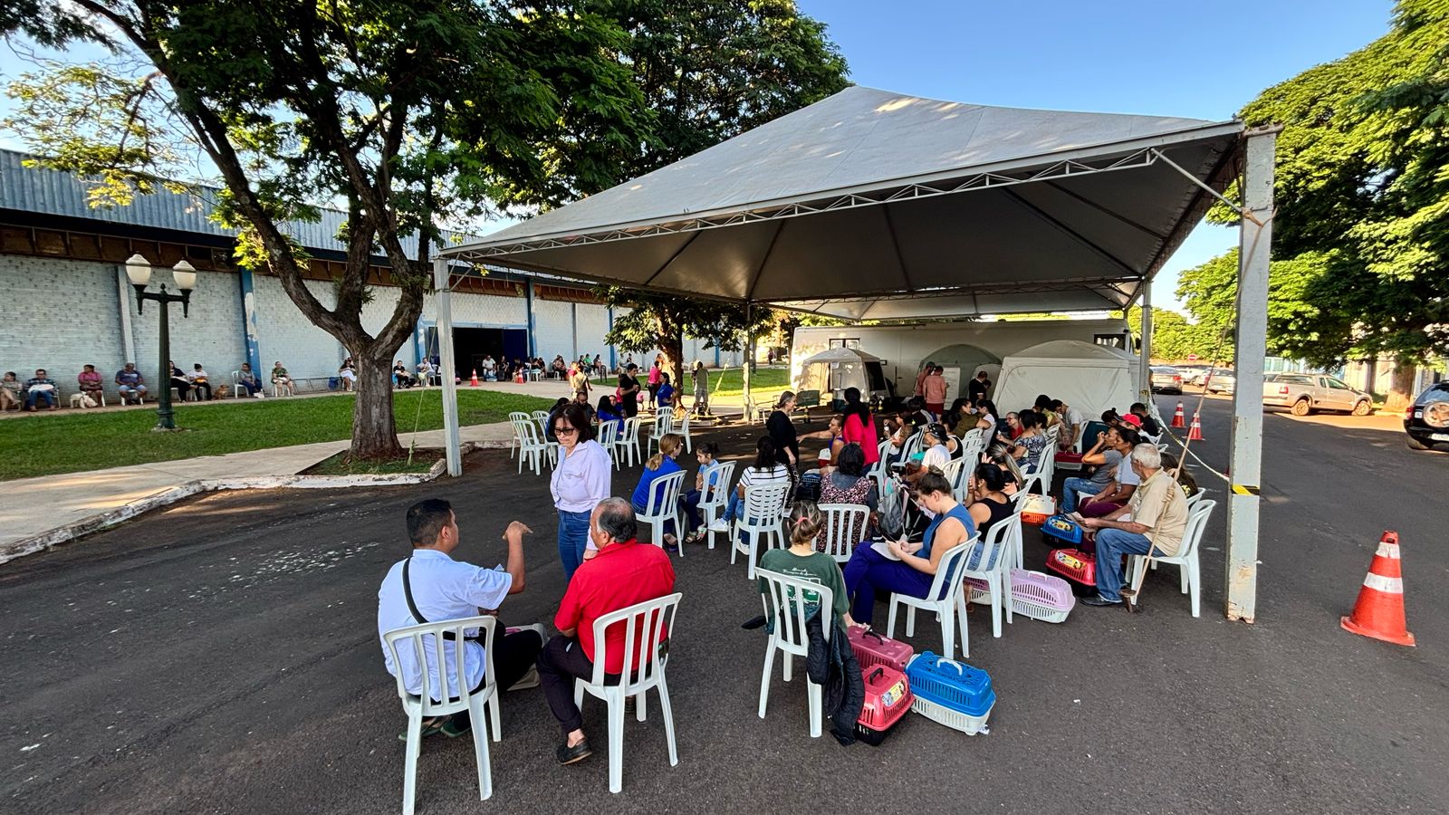 Prefeitura de Sarandi realiza 240 castrações de animais com saldo remanescente do CastraPet Paraná