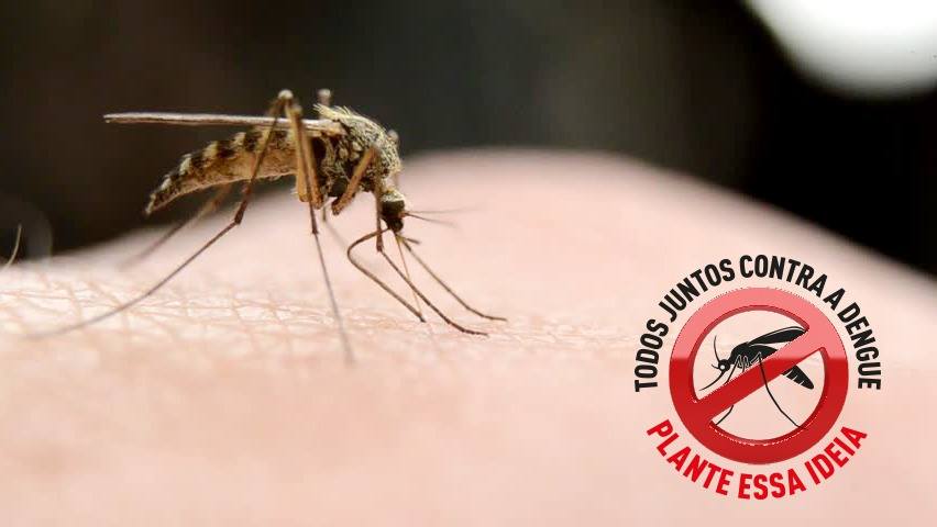 Sarandi divulga LIRAa