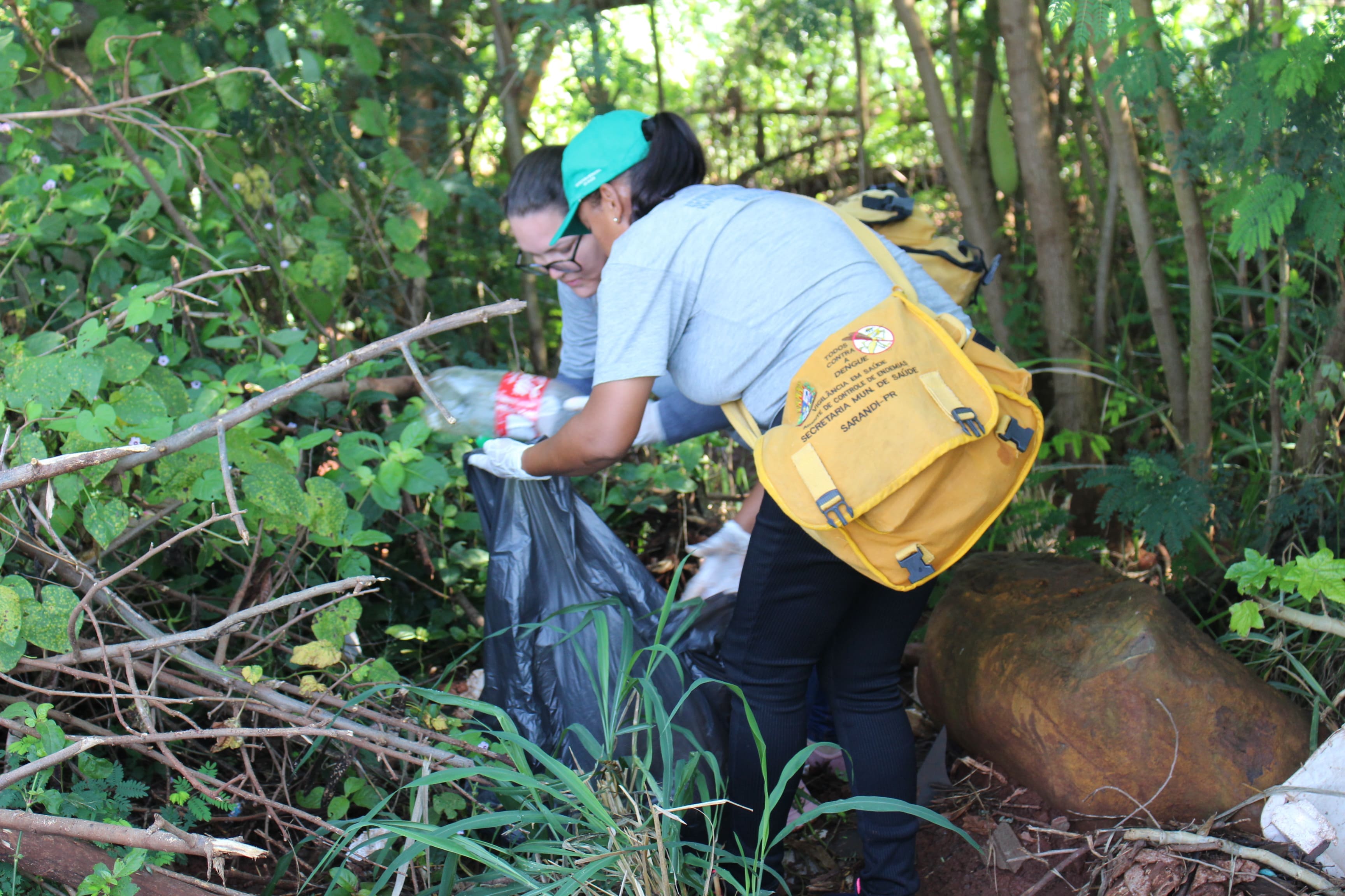Índice de infestação de mosquito transmissor da dengue recua, mas permanece alto risco para epidemia