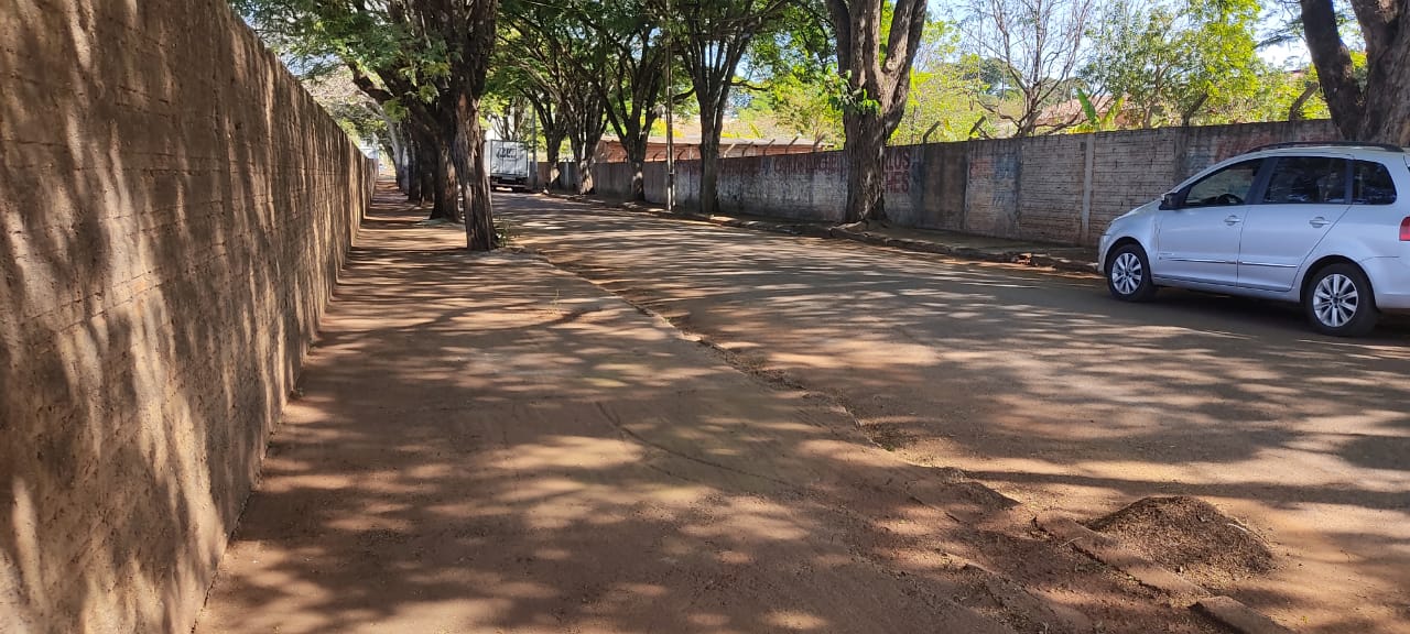 Secretaria de Meio Ambiente realiza limpeza da Rua Primavera