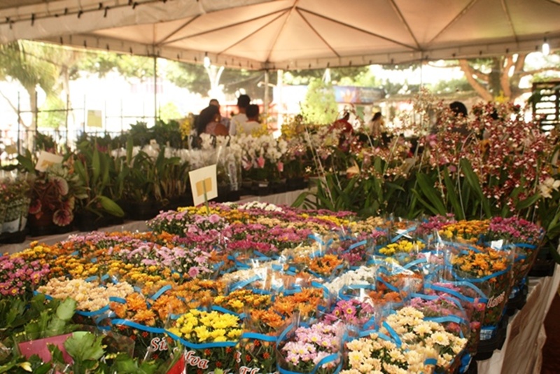 Expo-flor vai de 10 a 14 de dezembro