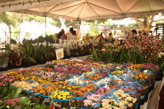   Sarandi recebe a Primeira Expo-flor 