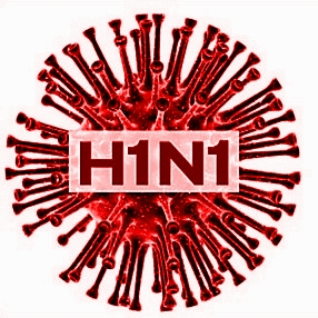     Funcionários das UBS vão passar por treinamento contra a gripe A